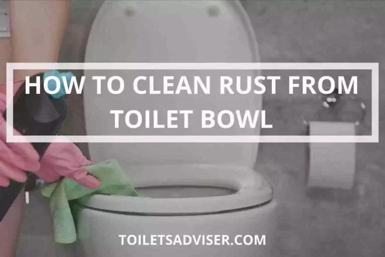 How to Clean & Remove Rust Stains From Toilet Bowl 2024