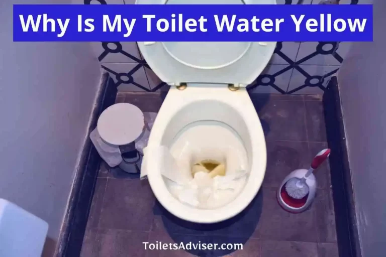 Why Is My Toilet Water Yellow [How To Fix Yellow Water] 2024