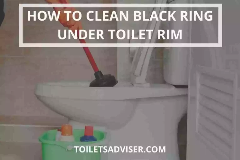 How To Clean & Remove Black Ring Under Toilet Rim Bowl 2024