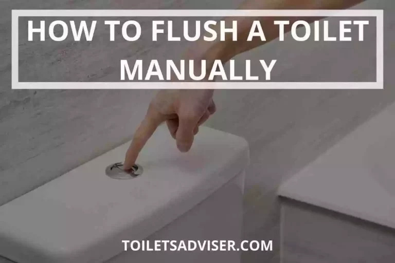 How To Flush A Toilet Manually [Get Force Water Flush] 2024