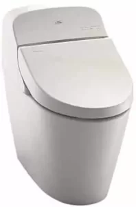 Powerful Flush Toilet