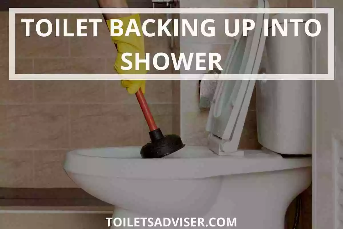 Toilet Backing Up Into Shower