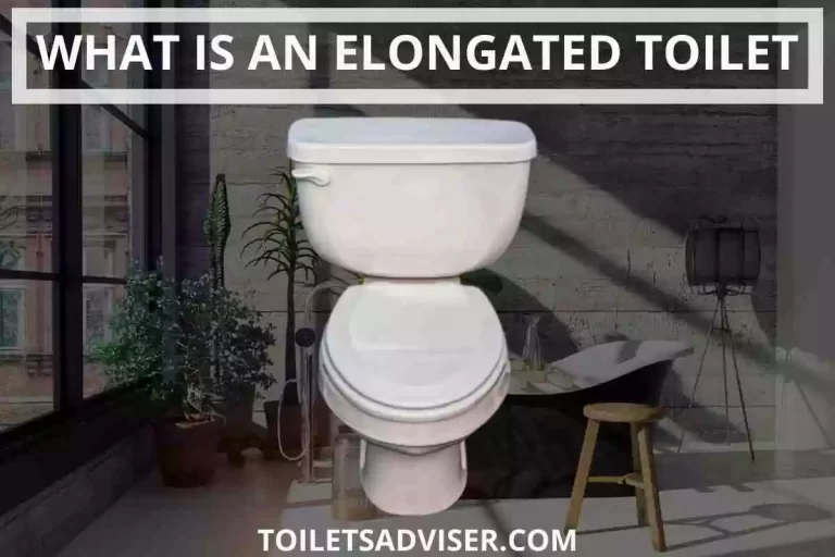 What Is An Elongated Toilet [Oval Egg Shaped Commode] 2024