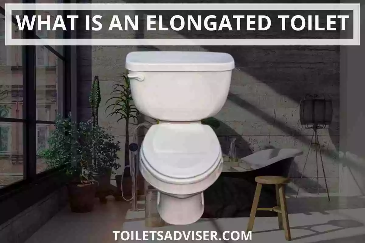 What Is An Elongated Toilet