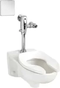 Best Inexpensive Toilets