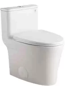 Clog Free Toilet