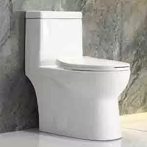 Best Economical Toilet