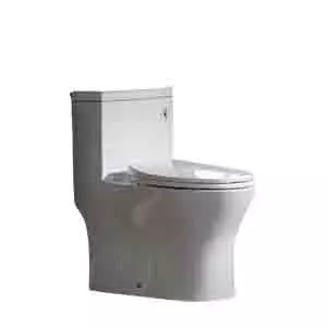 Best Clog Free Toilet
