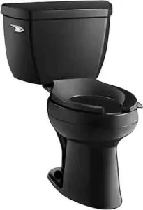 Best Toilet For Large Stools