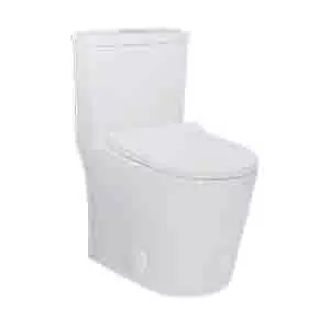 Best Toilet For Mega Pooping
