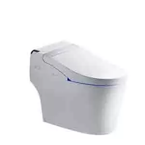 Auto Cleaning Toilet