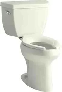 Strong Flushing Toilet