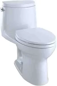Toilet That Can Flush Golf Balls
