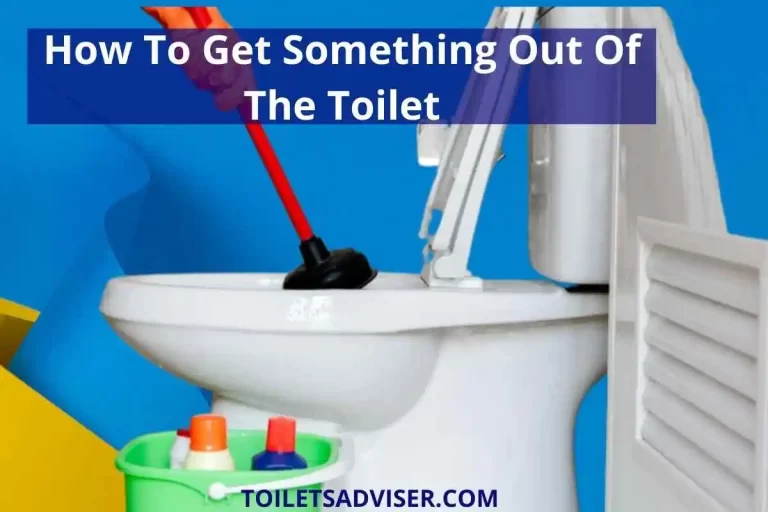How To Get Something Out Of The Toilet 2023 Trap Stuck Flush