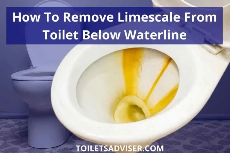 How To Remove Limescale From Toilet Below Waterline In 2022
