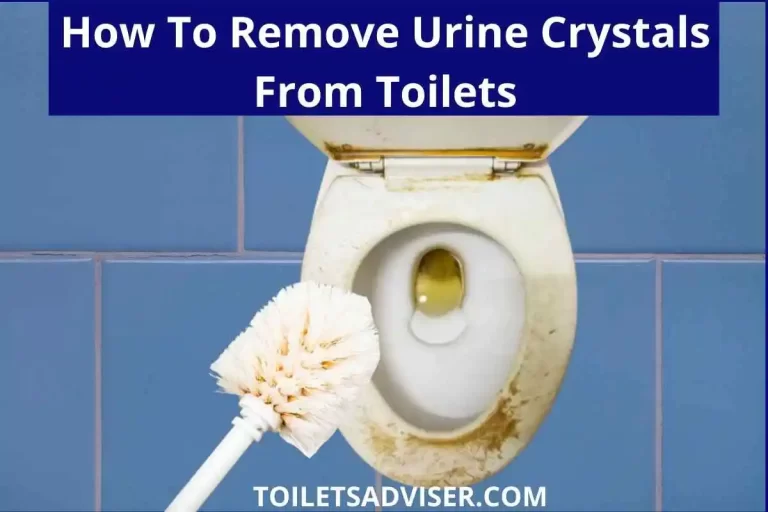 How To Remove & Dissolve Urine Crystals From Toilets 2024
