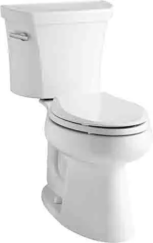 Powerful Flush Toilet