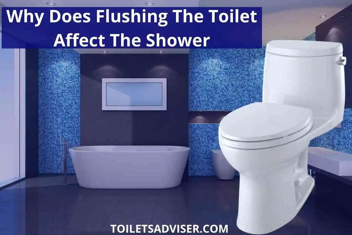 Why Does Flushing The Toilet Affect The Shower