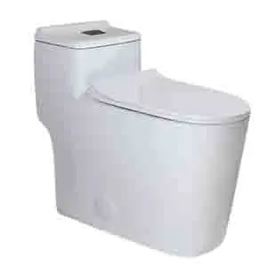 Best Dual Fush Quiet Toilet