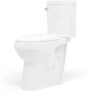 Best Tall Toilets For Elderly
