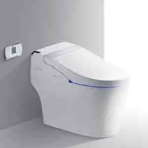 Top Rated Toilet Brand