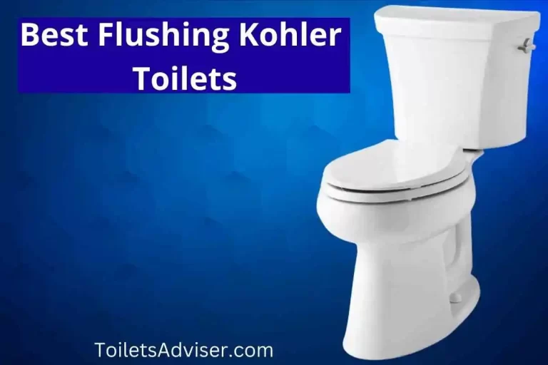 Best Flushing Kohler Toilets 2023 Wellworth Elongated Toilet