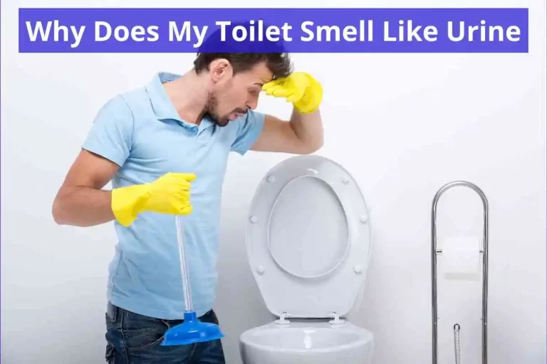 Why Does My Toilet Smell Like Urine 2023 [Get Out Pee Smell]