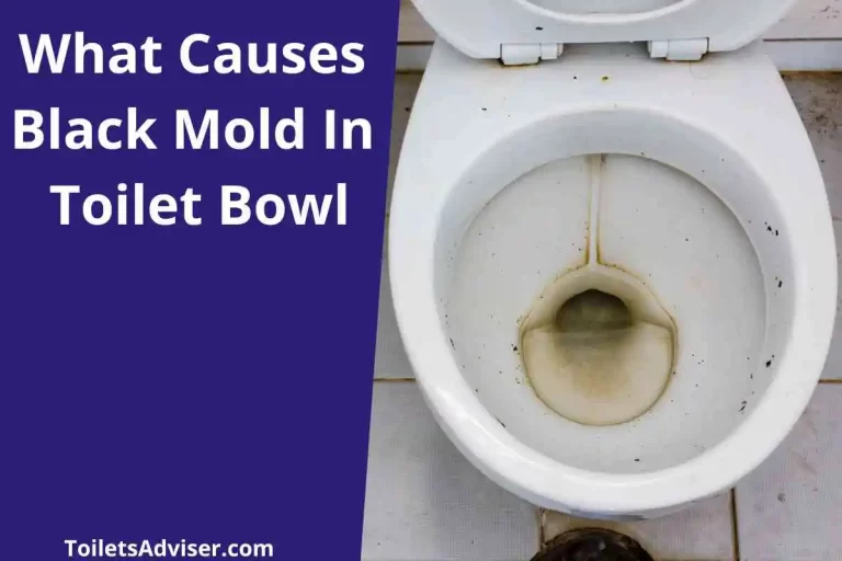 What Causes Black Mold In Toilet Bowl(Dark Residue Tank)2024