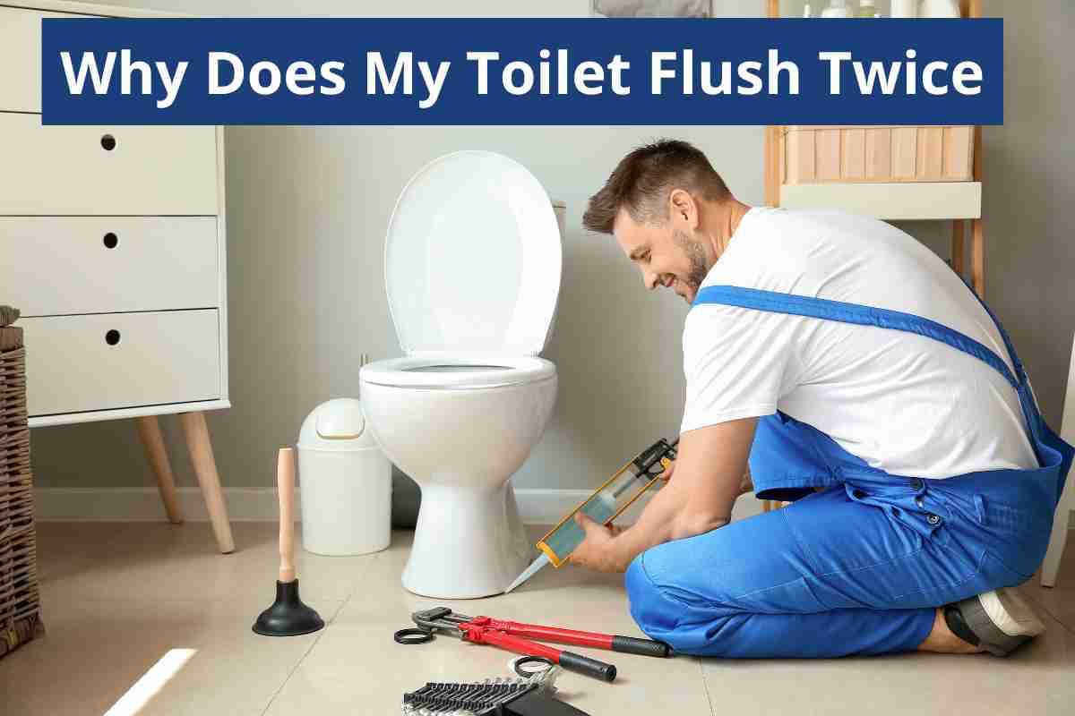 Why Does My Toilet Flush Twice(How To Fix Double Flush)2024