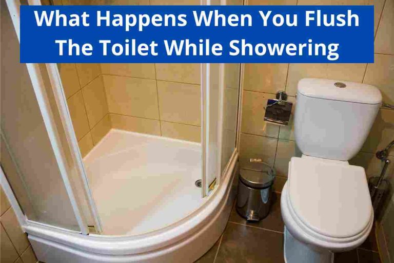 What Happens When You Flush The Toilet While Showering 2024