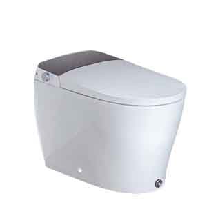 Best Backless Toilet
