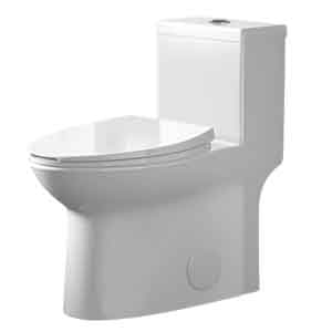One Piece Dual Flush Toilet