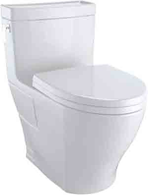Most Durable Skirted Toilet