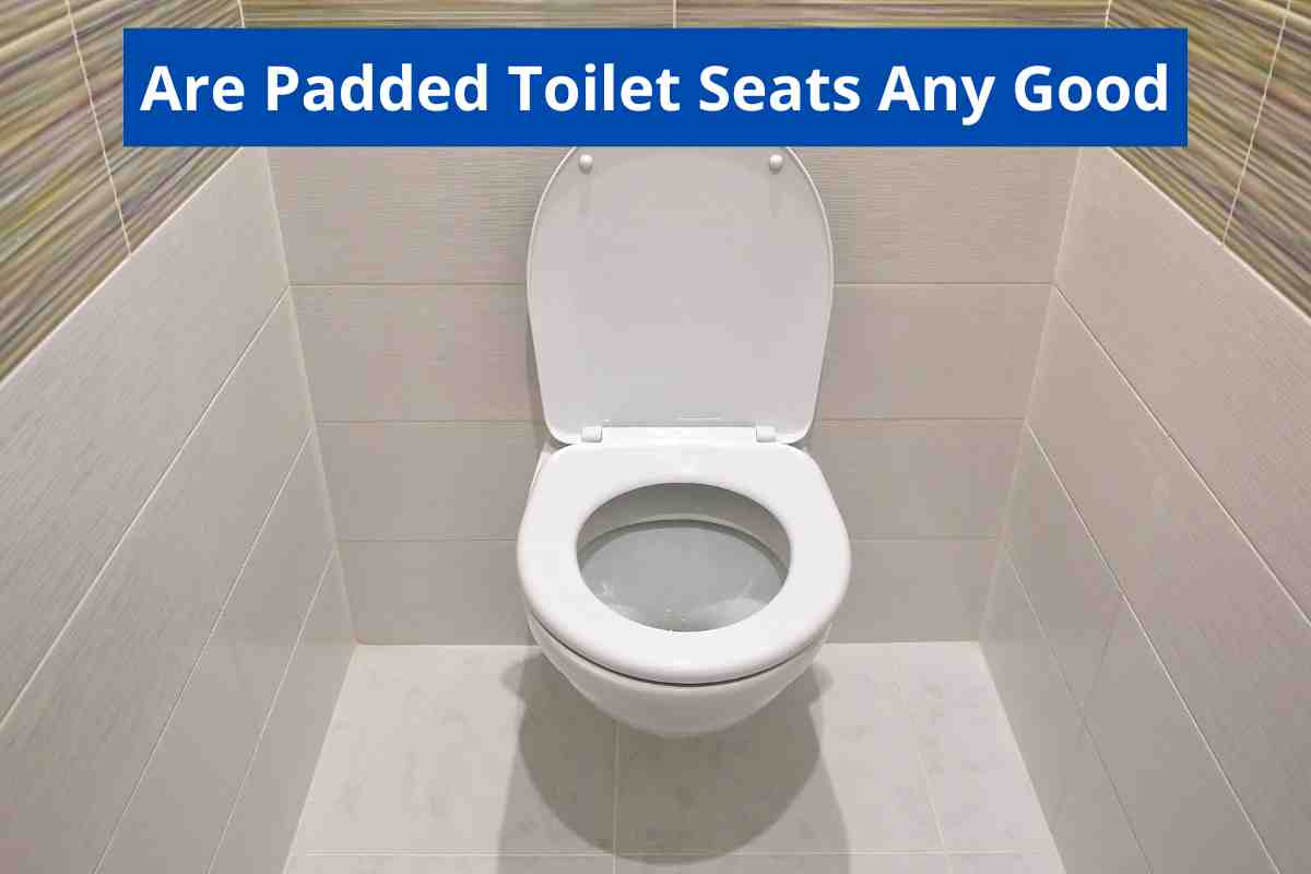 Are Padded Toilet Seats Any Good