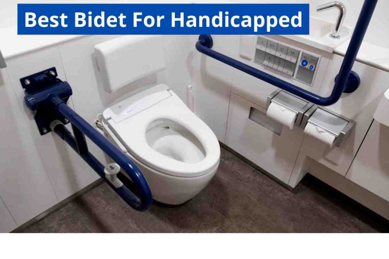 Best Bidet For Handicapped