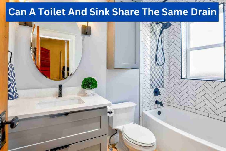 Can A Toilet And Sink Share The Same Drain(Severe Line)2024