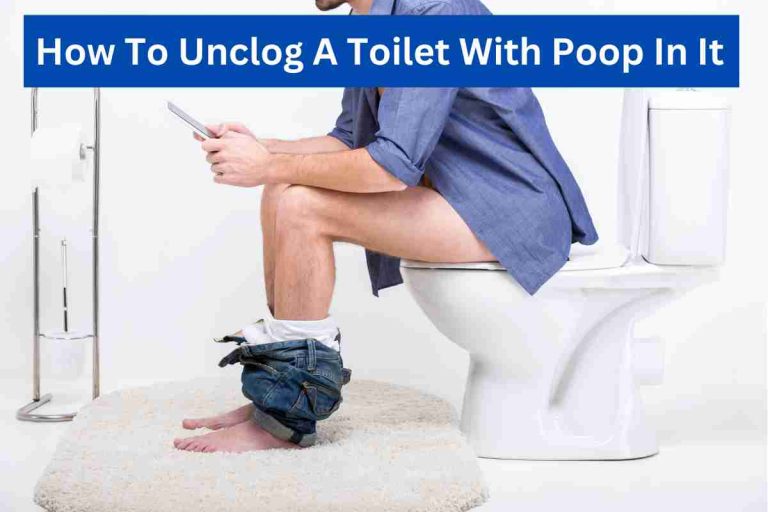 How To Clean And Unclog  A Toilet With Stuck Poop In It 2024