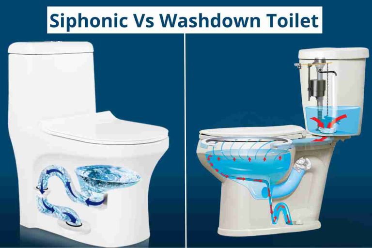 Siphonic Vs Washdown Toilet(Which One Is Better Toilet)2024
