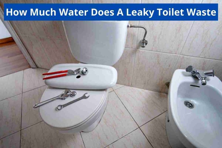 How Much Water Does A Leaky Toilet Waste(Leaking Facts)2024