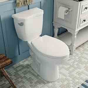 Best Commercial Toilet for Rental Property