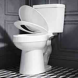 Best Rental Property Toilet For Large Bathrooms