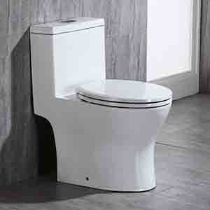 Most Durable Toilet For Rental Property