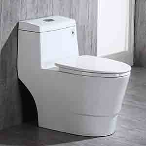 Powerful Flushing toilet for Rental Property