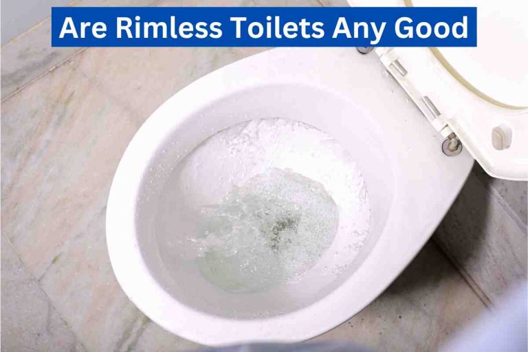 Are Rimless Toilets Any Good (What Are Rimless Toilets) 2024