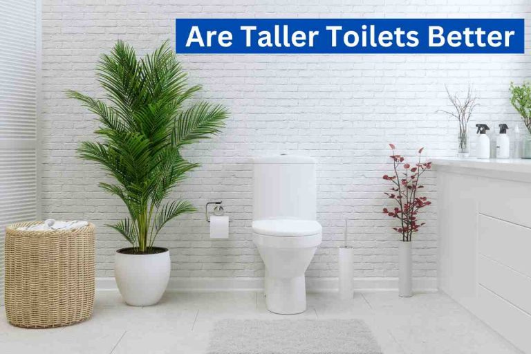 Are Taller Toilets Better(Benefits Of Tall Height Toilet)2024