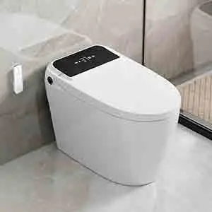 Best Smart Toilet For Powder Room
