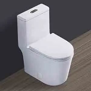 Best Dual Flush Toilet For Powder Room