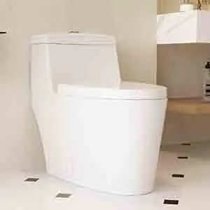 ‎Deer Valley ‎DV-1F52636A toilet review