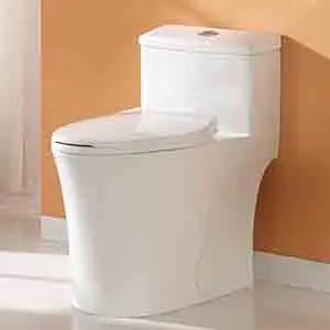 HOROW T0338W Compact One Piece Toilet with Comfort Chair Seat